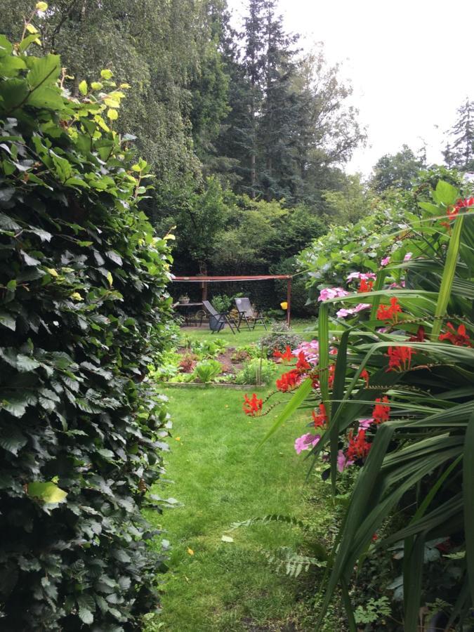 B&B Porcini Ermelo Esterno foto