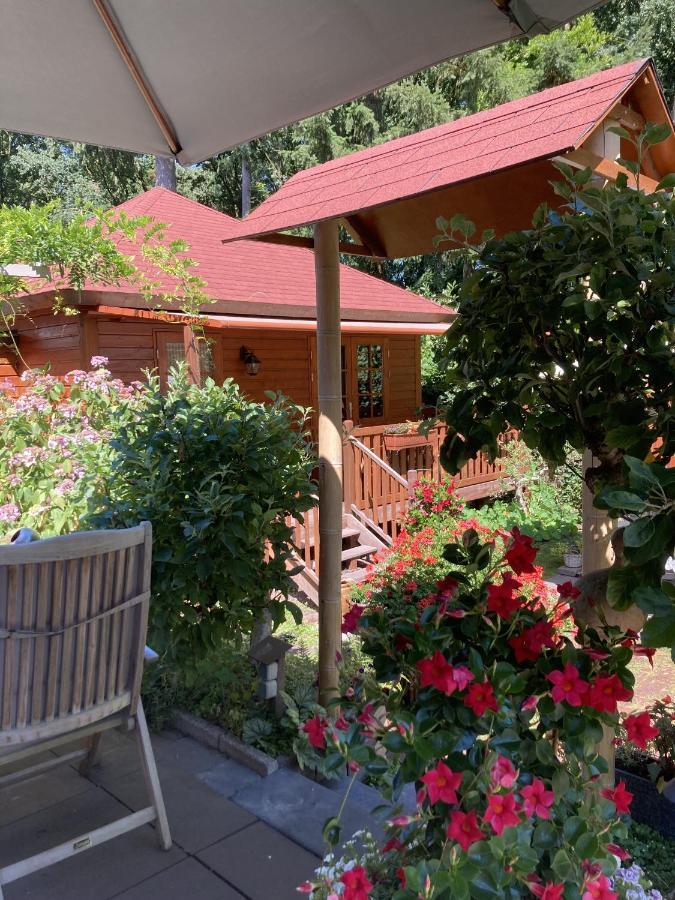 B&B Porcini Ermelo Esterno foto