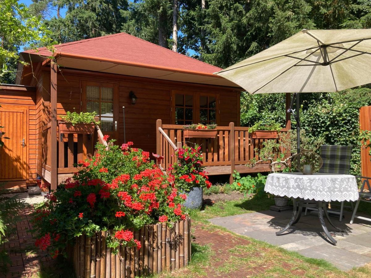 B&B Porcini Ermelo Esterno foto